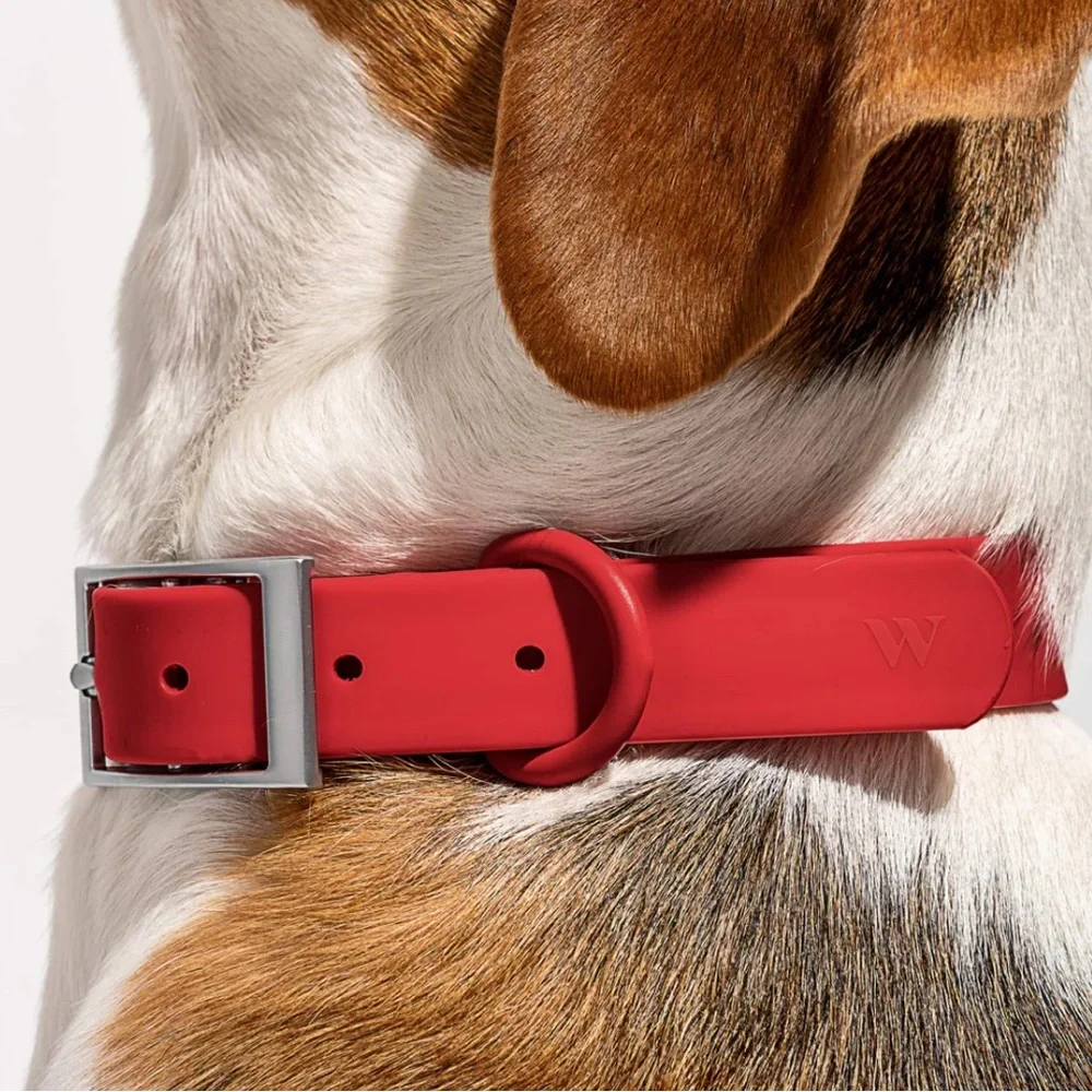 Wild One Dog Collar - XL (18-23